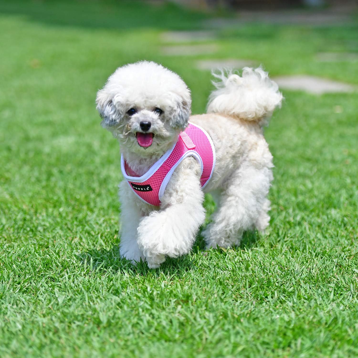 Puppia Soft Vest Dog Harness II and adjustable harness for small or medium dogs,Pink - Image 5