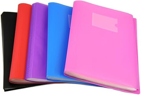 12 Ct Paper Portfolios 2 Pockets Multicolor
