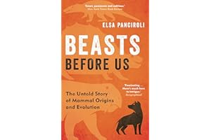 Beasts Before Us: The Untold Story of Mammal Origins and Evolution
