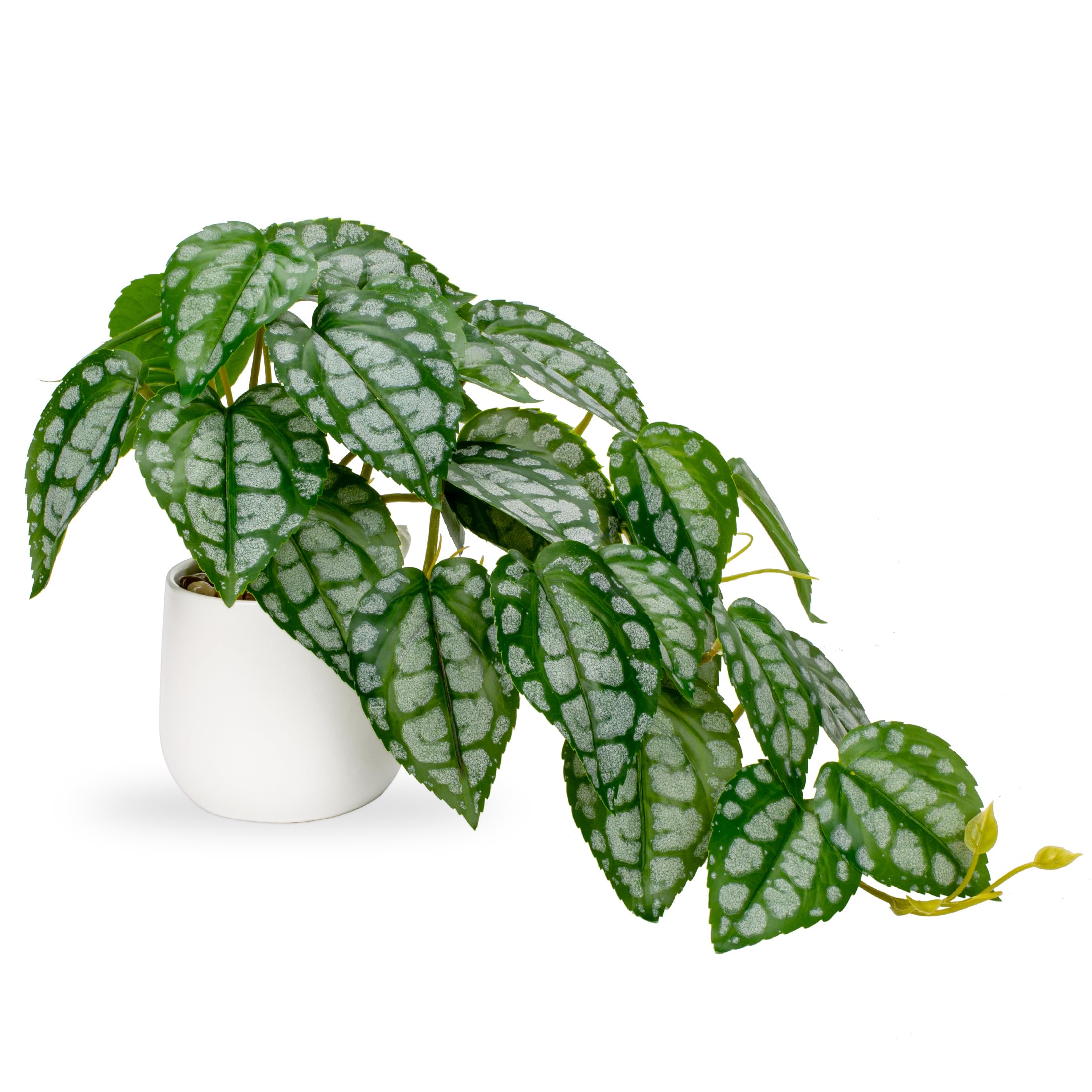 Hollyone Artificial Plants in Ceramic Pots, Fake Piper Sylvaticum Decorative Faux Potted Plants, Realistic House Plant Indoor for Home Décor, Bathroom, Living Room, Kitchen, Shelf Decorations