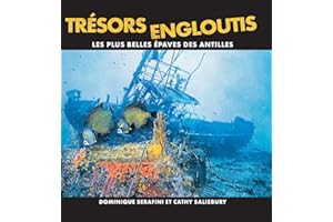 Trésors Engloutis: Les plus belles épaves des Antilles