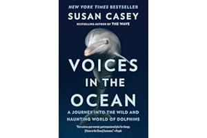 Voices in the Ocean: A Journey into the Wild and Haunting World of Dolphins