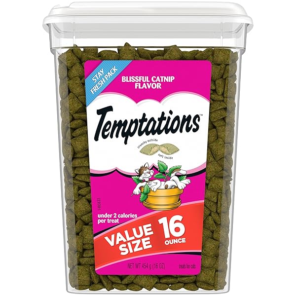 TEMPTATIONS CLASSIC CRUNCHY AND SOFT CAT TREATS BLISSFUL CATNIP FLAVOR, 16 OZ. TUB
