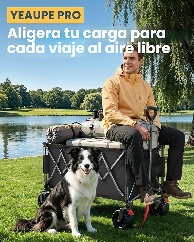 Carro Playa Plegable con Ruedas Anchas y Frenos 245L Negro — foto 6 de 8