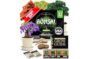 Bonsai Tree Kit Gifts for Men & Women - Grow 4 Bonsai Trees - Unique Gardening Crafts for Adults, DIY Hobbies for Plant Lover
