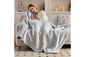 Bearhug Heated Blanket 6 Heat Settings Electric Blanket, 4-Hour Auto Shut-Off, Luxurious Faux Fur & Sherpa Dual-Sided Heated Throw, Machine Washable, 50 x 60 Inches, Gift-Ready Elegant Packaging