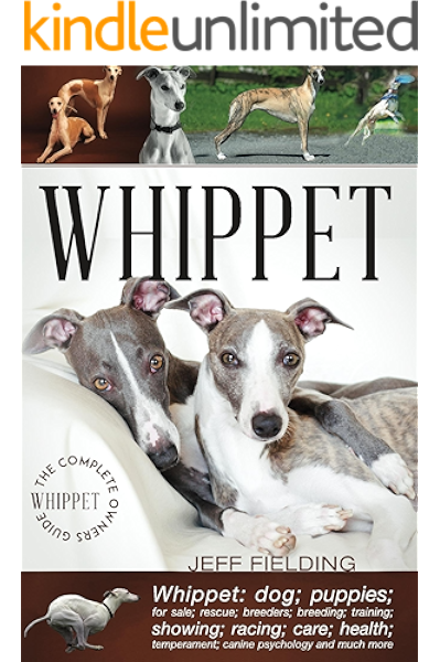 trained companion dogs for sale