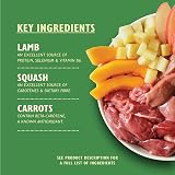 Lily's Kitchen Natural Adult Dog Food Wet Tins Lamb Hotpot 6x400g view 2