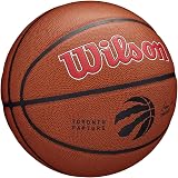 Wilson Team Alliance Toronto Raptors Size 7 Basketball Indoor Outdoor