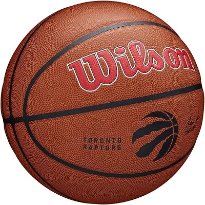 Wilson Team Alliance Toronto Raptors Size 7 Basketball Indoor Outdoor