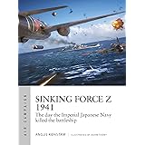 Sinking Force Z 1941: The day the Imperial Japanese Navy killed the battleship (Air Campaign)