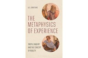 The Metaphysics of Experience: Truth, Enquiry and the Concept of Reality