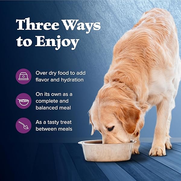 BLUE BUFFALO WILDERNESS HIGH PROTEIN BEEF AND CHICKEN & SALMON AND CHICKEN WET DOG FOOD VARIETY PACK FOR ADULT DOGS, GRAIN-FREE, 12.5 OZ CANS (6 PACK)