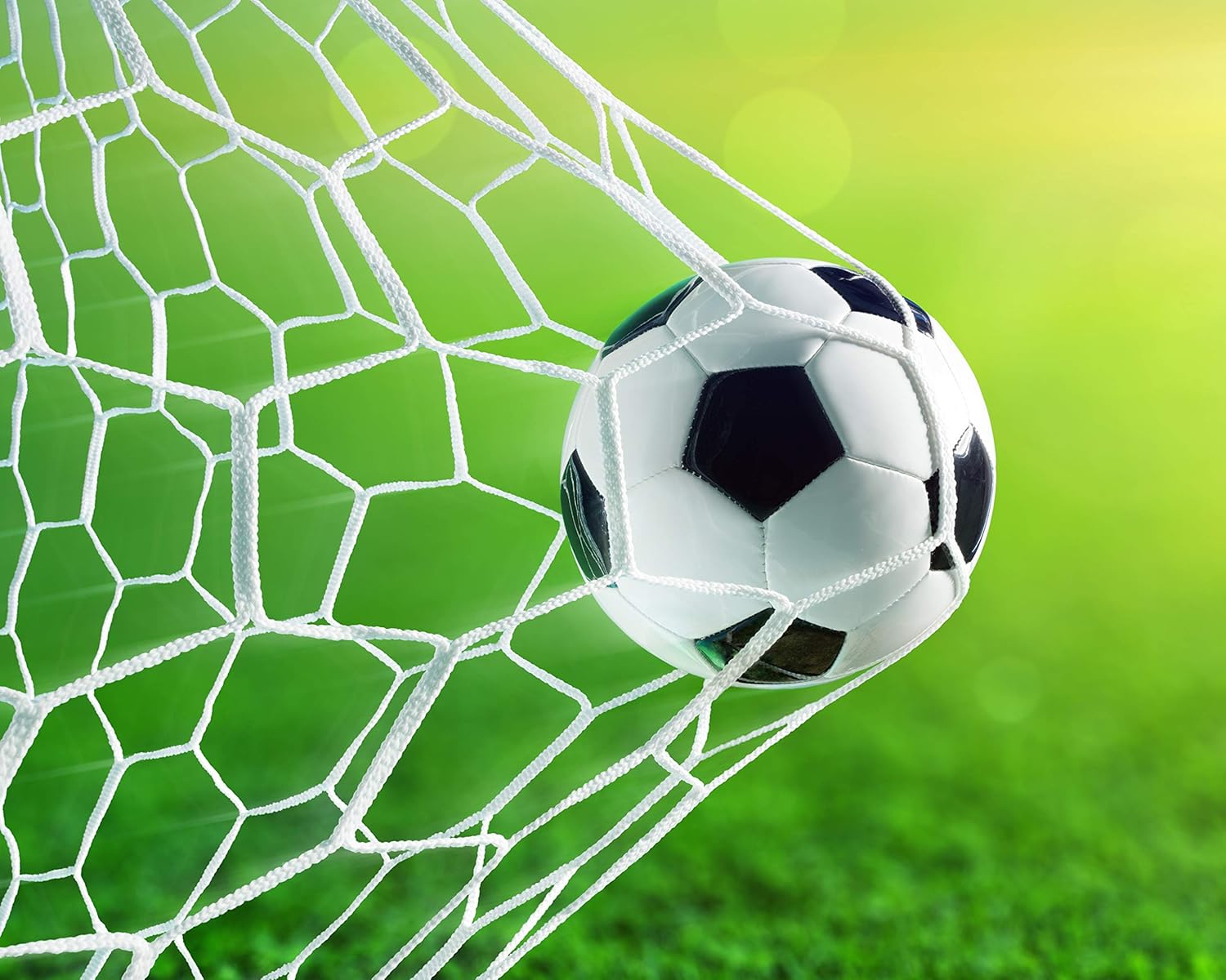 rete di computer collegata alla memoria di rete