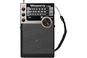 Wenpzeray Y-706 Portable Pocket Radio AM FM SW Band Receiver Battery Operated Transistor with Good Loud Sound Small Speaker Support USB/TF Card Play Headphone Jack for Indoor Outdoor Emergency (Black)