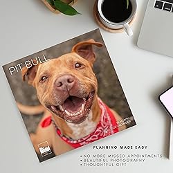 July 2025- December 2026 Pit Bulls Wall Calendar 18