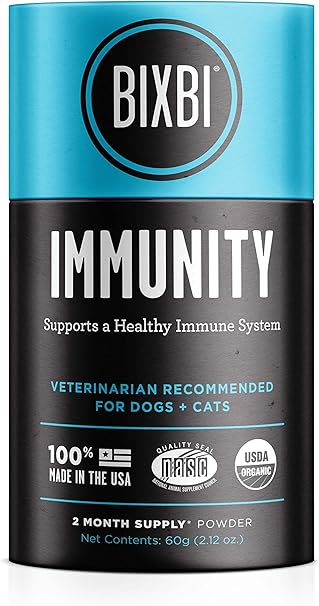 small colorful tropical fish