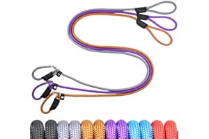 NORDKAWA 3Pcs Slip Lead Dog Leash, 5 FT Dog Training Leash with Standard Padded Handle, Strong Nylon Dog Slip Lead for Training Running and Walking