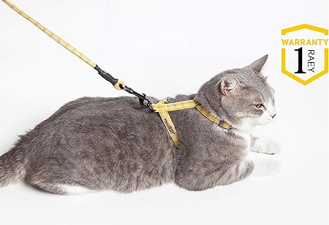 Touchdog Touchcat Harnais Reglable Et Laisse Pour Chat En Maille Souple Amazon Fr Animalerie