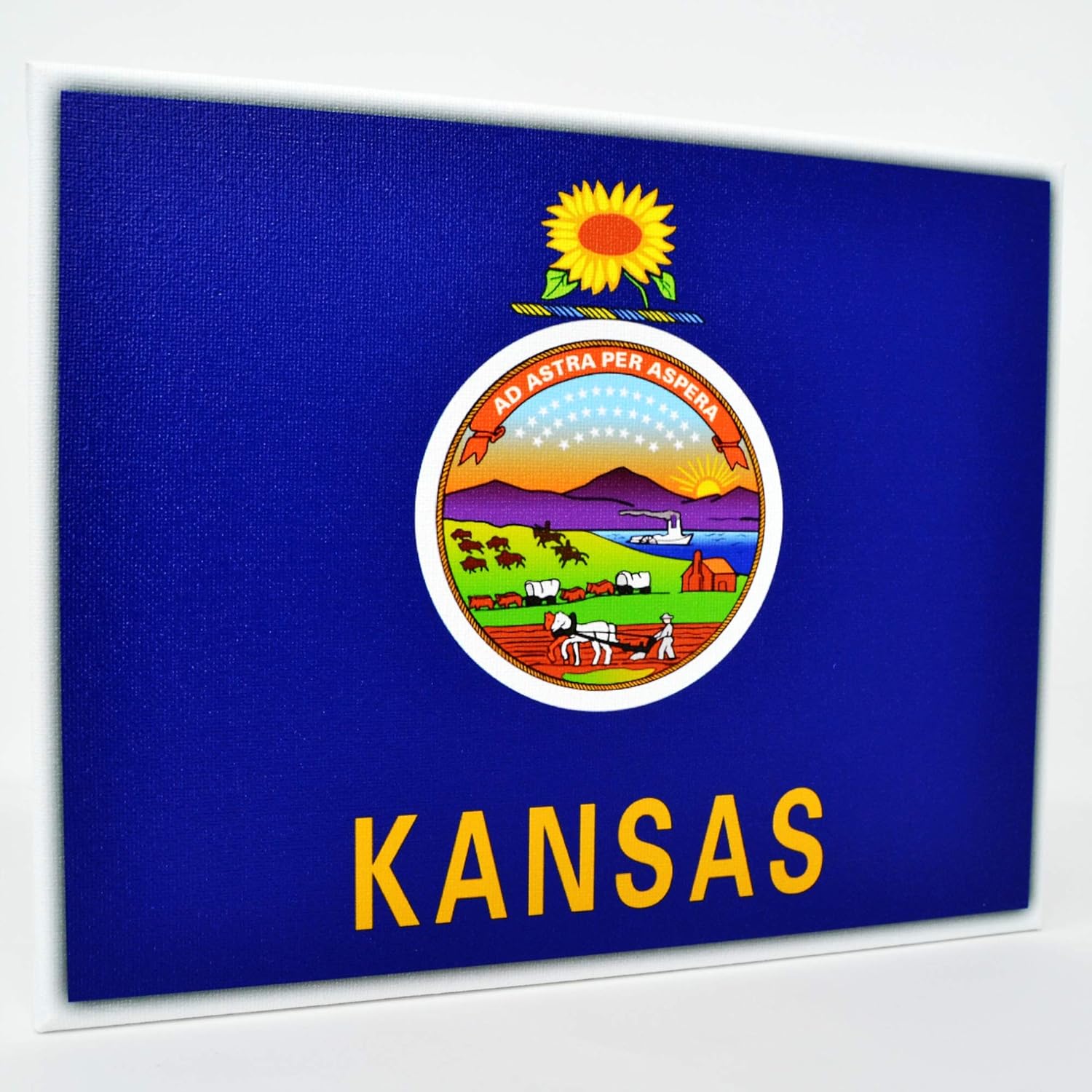 Kansas Flag Wall Decor 8x10 Decorative KS Canvas Wall Art