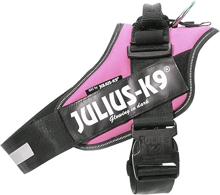 julius k9 seat belt