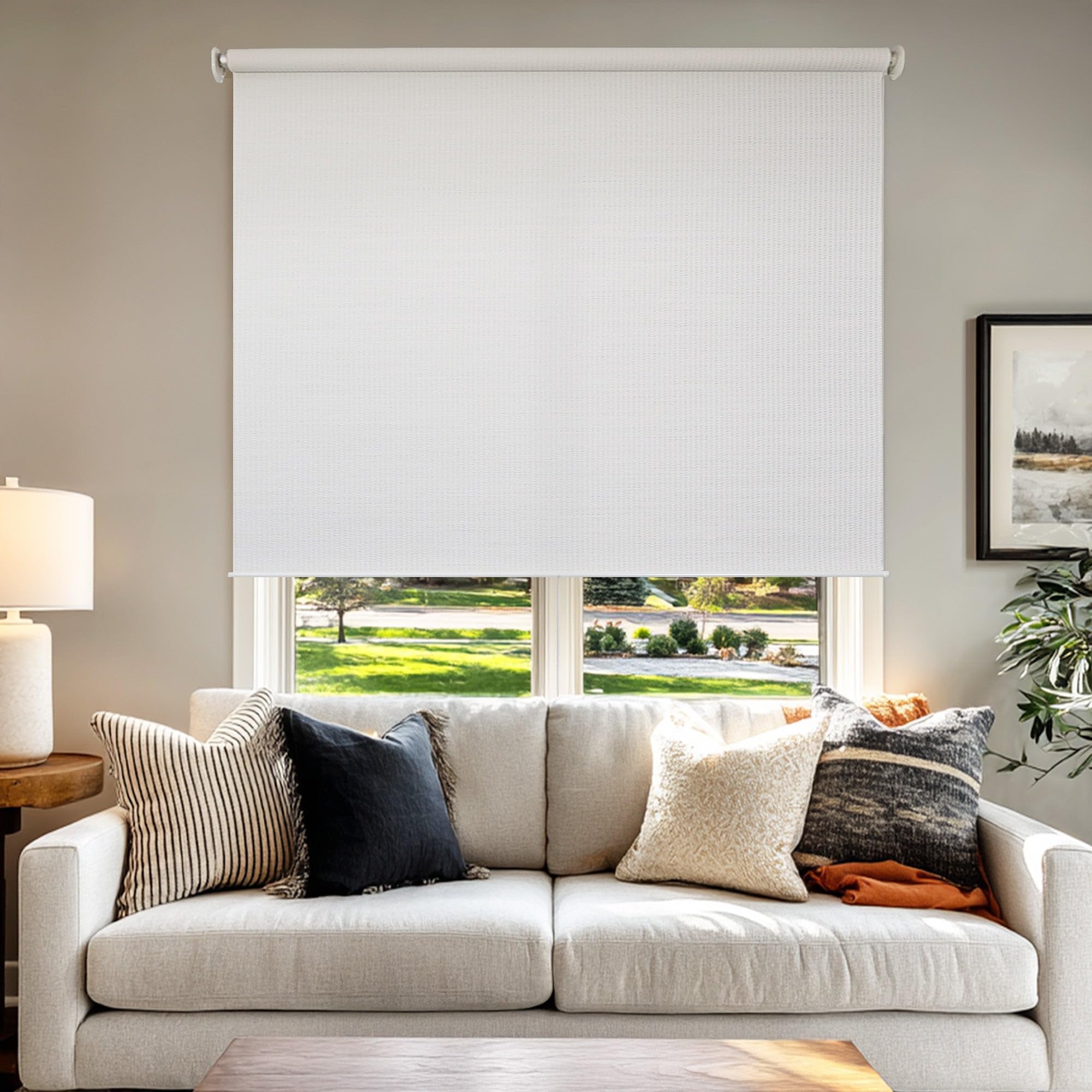 chicology roller shades, cordless blinds, window shades for home, roller window shades, window treat