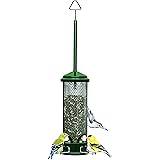 Squirrel Buster Mini Squirrel-proof Bird Feeder w/4 Metal Perches, 1.3lbs Seed Capacity, garden green