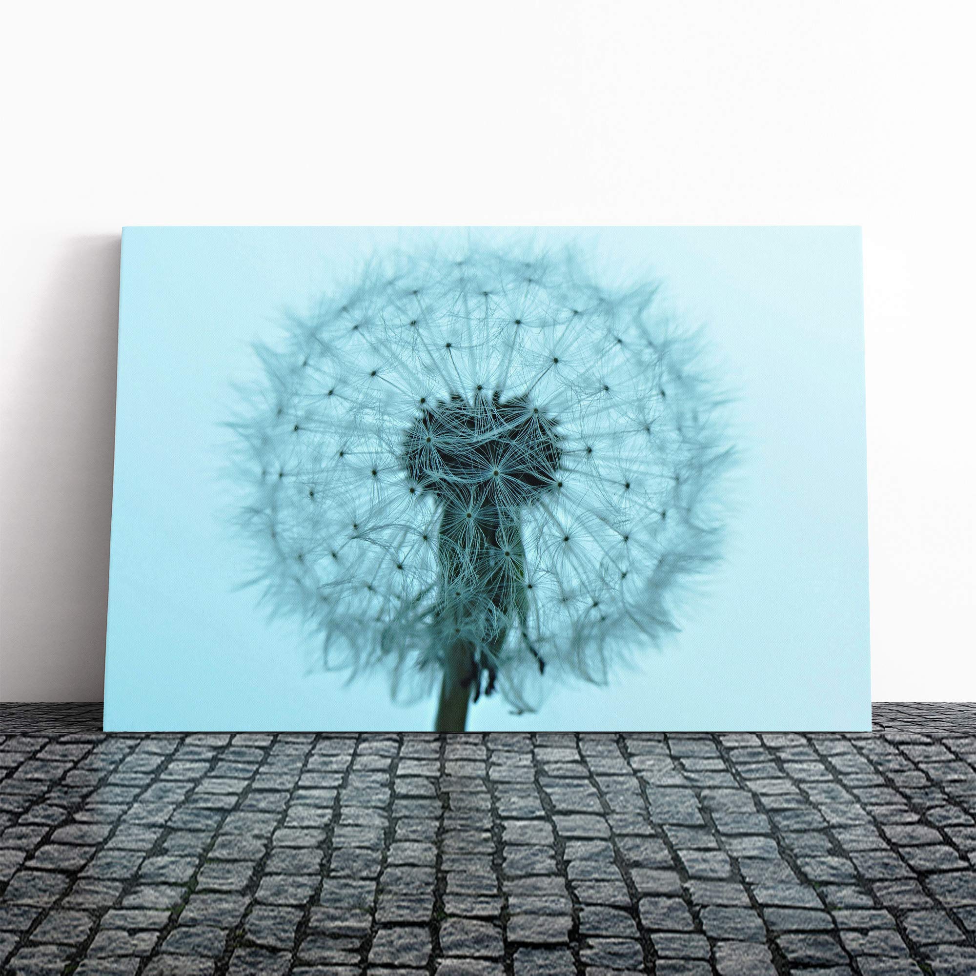 Flower Blue Dandelion Canvas Print | Gallery Wrapped 30mm Frame Wall Art | 20x14 inches | Ready to Hang | Modern Floral Picture | Living Room Bedroom Lounge Office