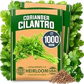 HOME GROWN Cilantro Coriander Seeds, 1000+ Seeds, Coriandrum sativum | High Germination, Heirloom, Non-GMO | 1,000+ Seeds (500+ Each, 2 Pack) | Indoor or Outdoor | Cilantro, Coriander