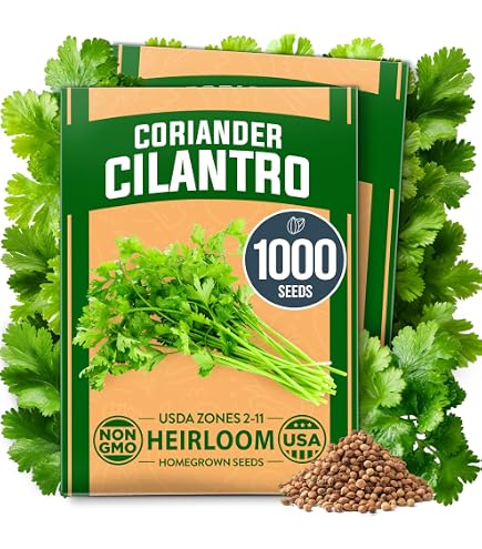Organic Leisure Splits Cilantro Seeds - Non-GMO Herb Garden - Free S&H