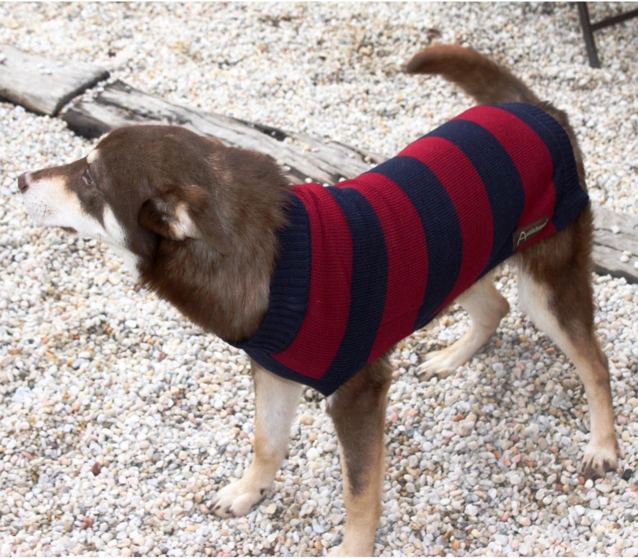 dog friendly weekend getaways near me