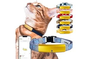 Catlog Health Tracker for Cats - Smart Cat Collar with Safety Breakaway Buckle for Indoor Cats, Wellness Alerts, Real-time Monitoring ([May The Force be with You] Design, XL)