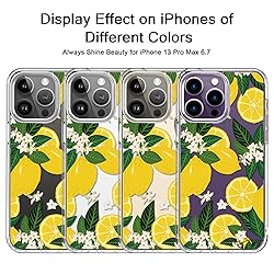 bicol for iPhone 13 Pro Max Case with Screen and