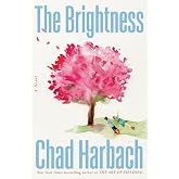 The Brightness: A Novel