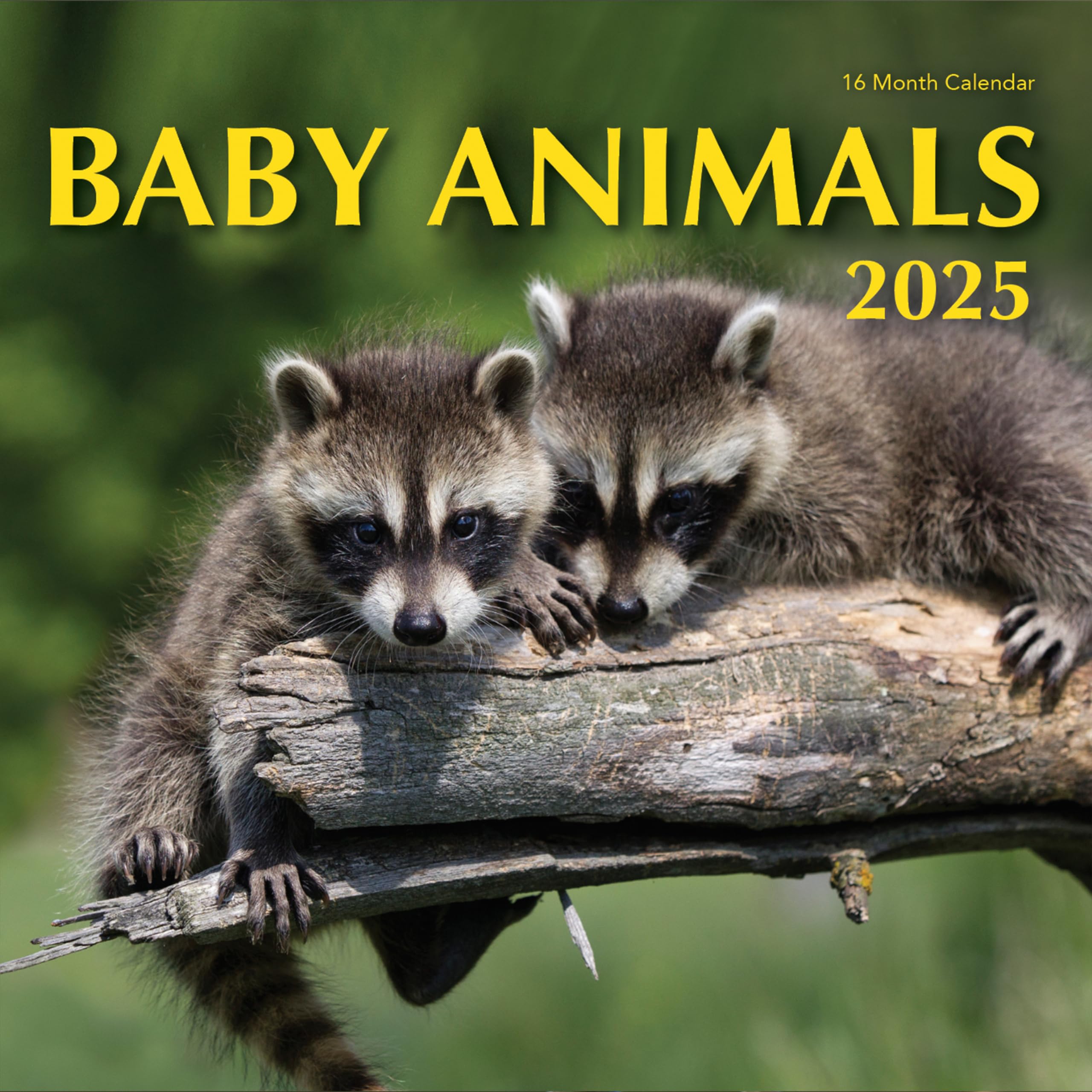 Photo 1 of 2025 Baby Animals Hangable Wall Calendar Cute Funny Animal Photo Gifts Puppy Dogs Kitten Zoo Photography Large Months Learning for Her Kids Boys Girls (2025 Baby Animals)