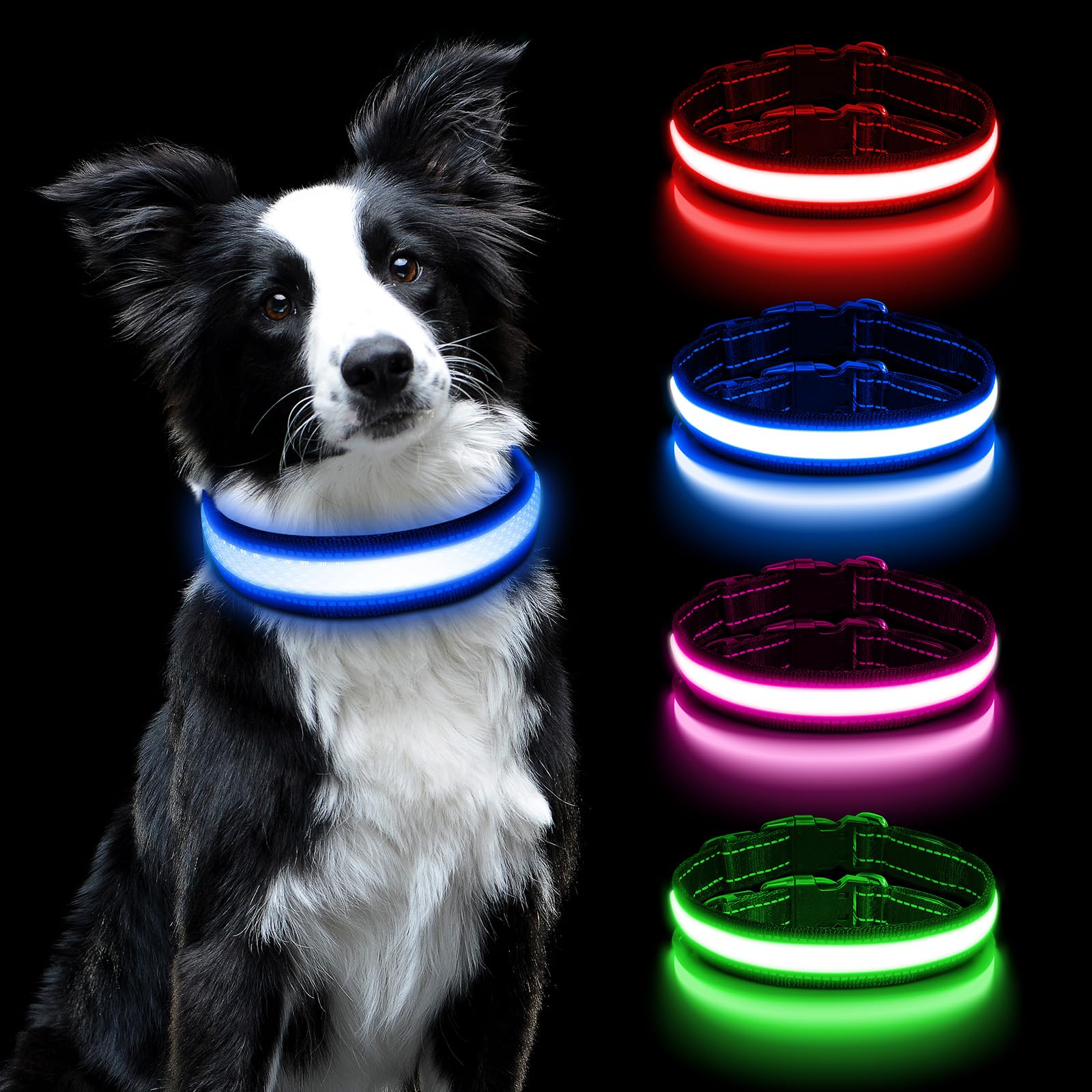 AUAUY Light Up Dog Collar, LED Dog Collar Light USB Rechargeable, Waterproof Flashing Adjustable Glowing Super Bright Dog Light Up Collar with 3 Glowing Modes for Medium Dogs-Blue