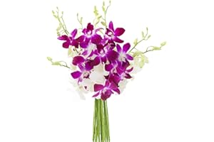 KaBloom Flowers - Exotic Opal Orchid Bouquet of Purple and White Orchids without Vase - Gift for Birthday, Sympathy, Anniversary, Get Well, Thank You, Valentine, Mother’s Day Fresh Flowers