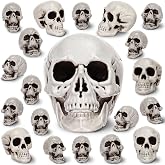 Aoriher 20 Pcs Halloween Skulls Decor, Plastic Skeleton Heads, Large | 3 Sizes Plastic Skull Set, Fake Skeleton Heads for Halloween Parties, Haunted Houses, Table Decor and DIY Crafts