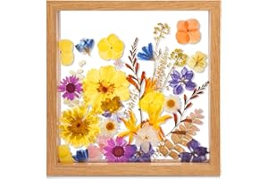 fanhuashijn Clear Pressed Flower Frame - Dried Flower Frame Adult Girls Night Crafts for Women Mother Gift (Yellow-3, Medium)