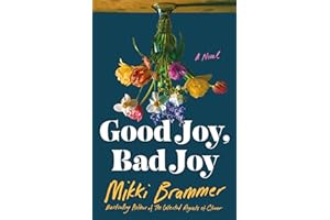 Good Joy, Bad Joy: A Novel