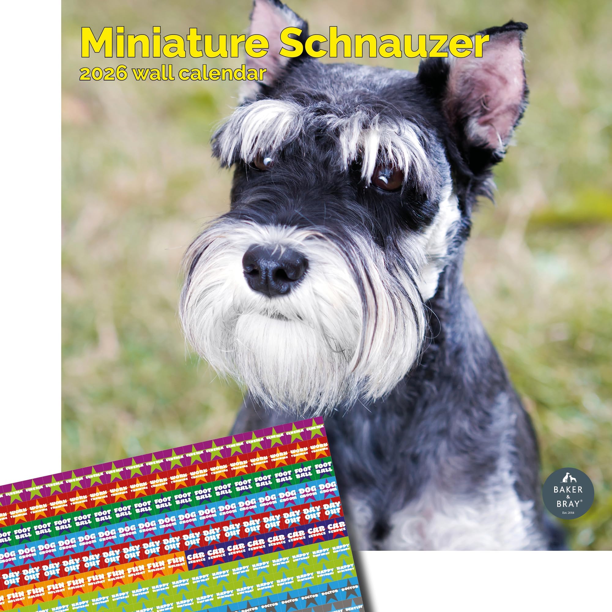 Baker and Bray Miniature Schnauzer Calendar 2026, Large Square Wall Calendar With Organisational Stickers, 16 Month, Miniature Schnauzer Gift Dog Calendar