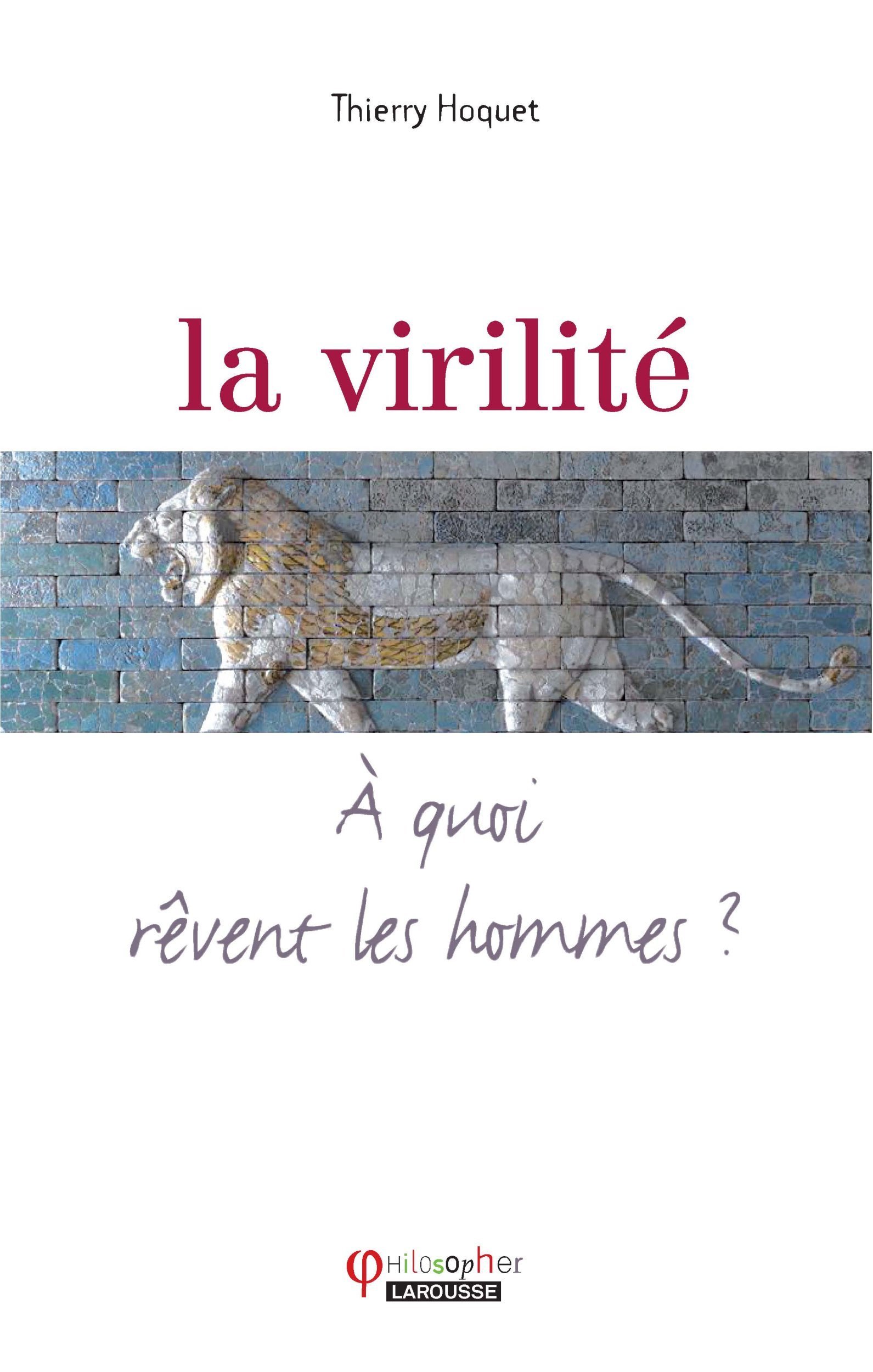 La Virilite A Quoi Revent Les Hommes Philosopher Hoquet Thierry 9782035836861 Amazon Com Books