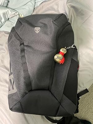 alienware m17 backpack