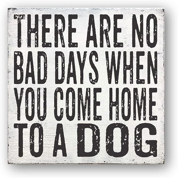 Can Dogs Go Into Home Goods