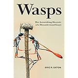 Wasps: The Astonishing Diversity of a Misunderstood Insect