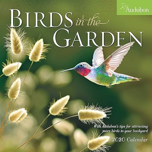 Download Audubon Birds in the Garden 2020 Calendar PDF