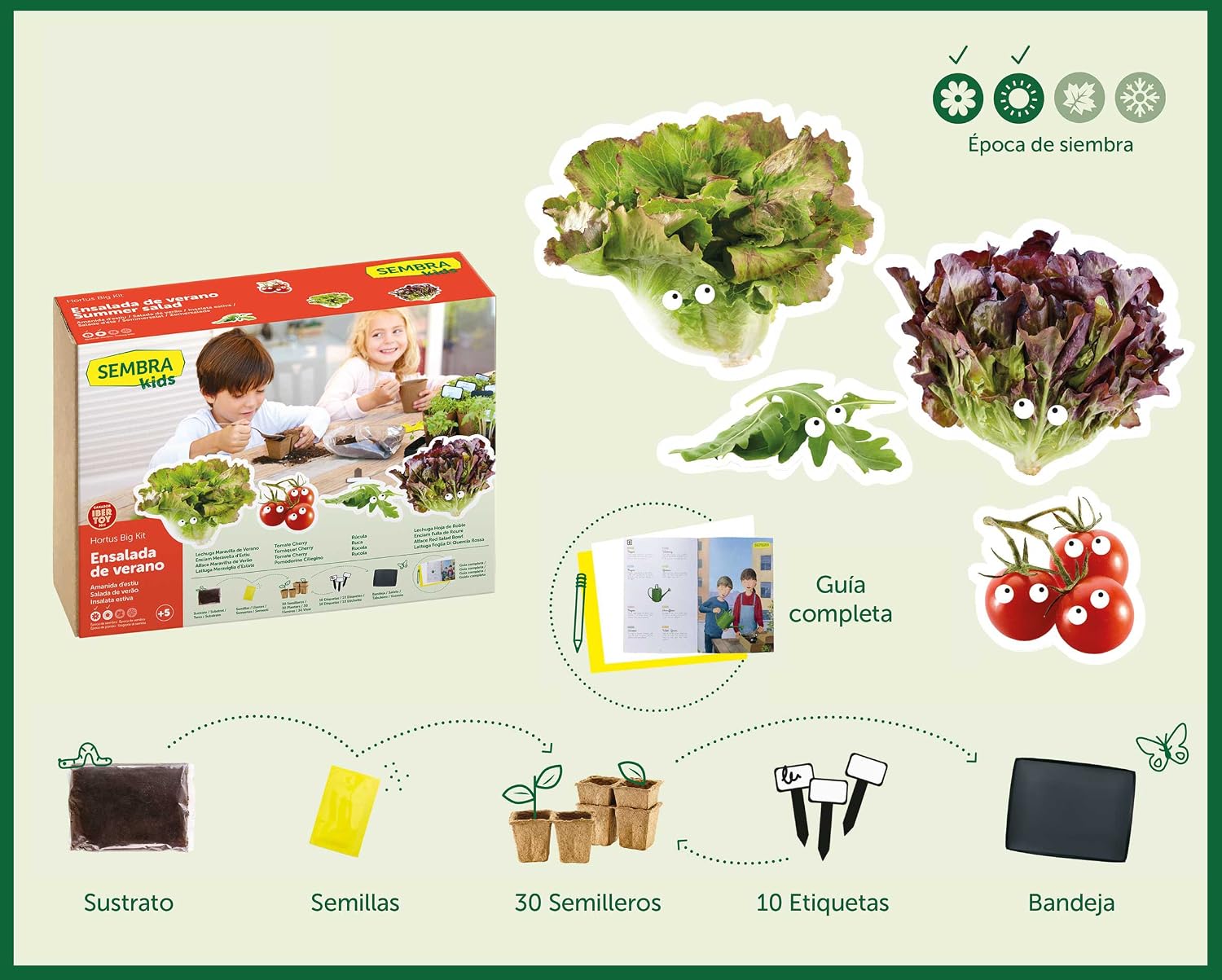 SEMBRA - juego educativo, Kit huerto Ensalada de verano: Amazon.es ...
