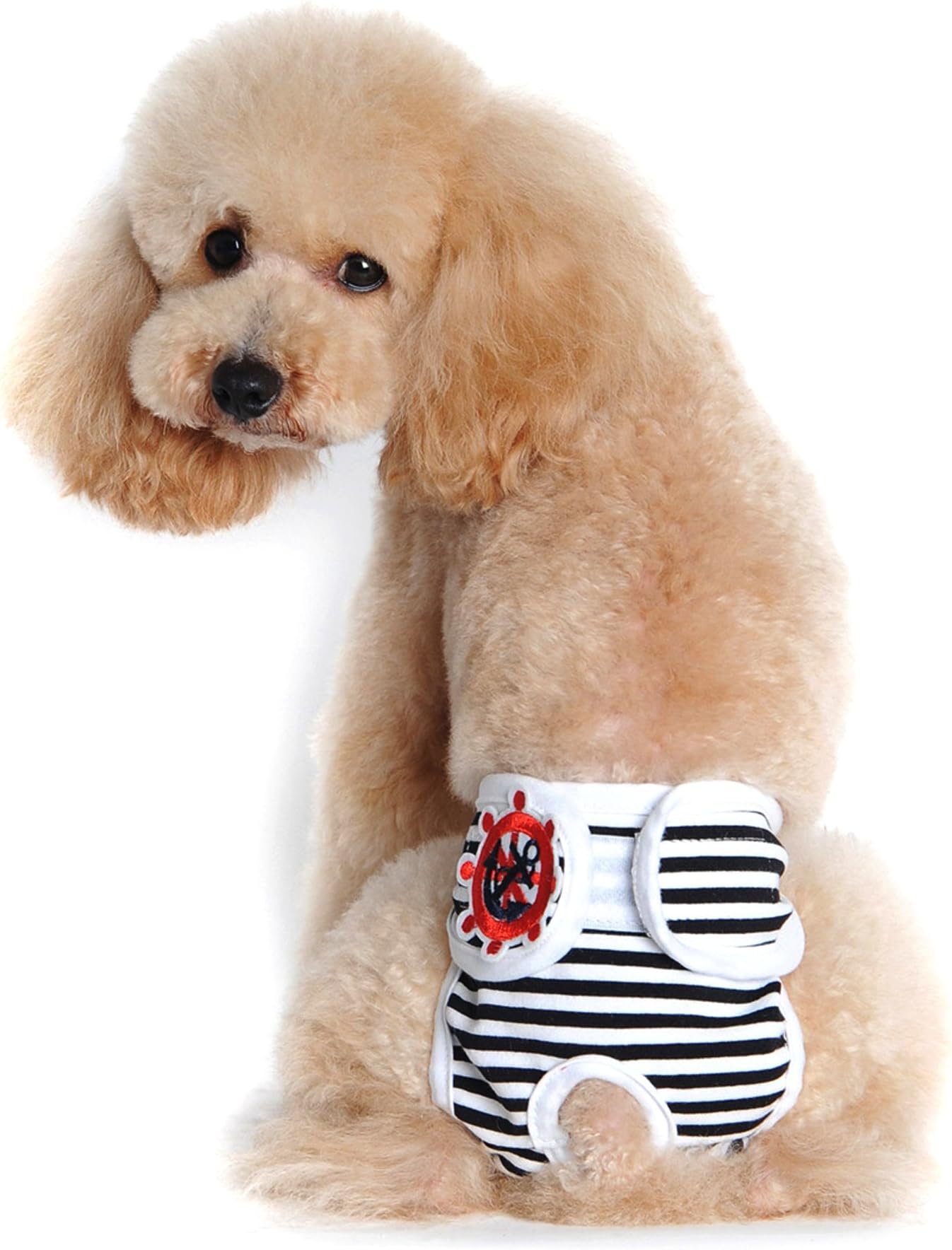 Alfie Pet - Mirian Diaper Dog Sanitary Pantie for Girls Dogs