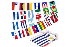 MVPRING Latin America 25 Countries String Flag Pennant Banner, Small Mini Flags Bunting Banner, Latino Flag Banners for Heritage Hispanic Month, Decoration for School, Party, Sports Events, 30 Feet 25 Flags