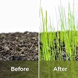 Garden Lawncare Guy Seed & Turf Feed - Pre Seeding Fertiliser view 6